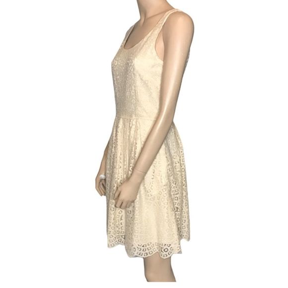 J Crew Factory Swirling Lace Fit and Flare Dress - Picture 2 of 11